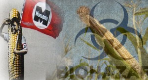 is-the-end-of-monsanto-near-prop-37-succeeding-as-nations-ban-gmo-crops
