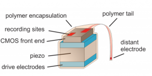 ultrasonical