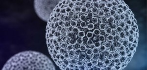 hpv-virus-web-702x336