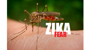 zika_fear