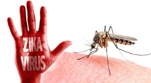 Zika Virus