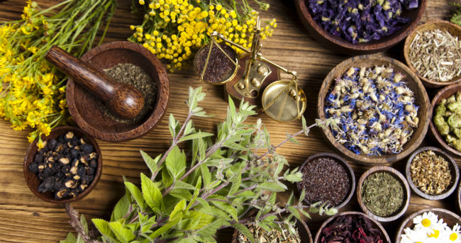 War On Natural Medicine: Europe to ban hundreds of herbal remedies ...