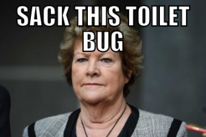toilet bug