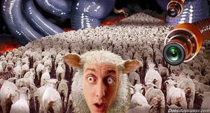 dees sheeple