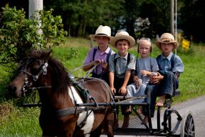 amish-childlren