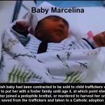 Famous Polish Film Producer Creates Documentary Exposing the Sale of Babies for Sex and Organ Harvesting – If You can Handle it