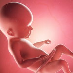 CDC’s Own Stats Show 1,270 Premature Fetal Deaths Following COVID Shots