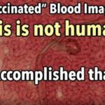 More “vaccinated” blood images: Accomplished Goal to Change what is Human