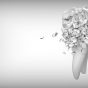 Fluoride causes periodontal disease
