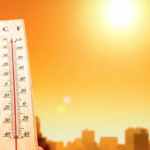 Melbourne appoints Rockefeller-backed ‘chief heat officers’