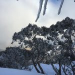 The coldest summer day in Australia and nobody notices